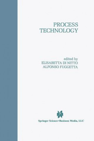 Könyv Process Technology Elisabetta Di Nitto