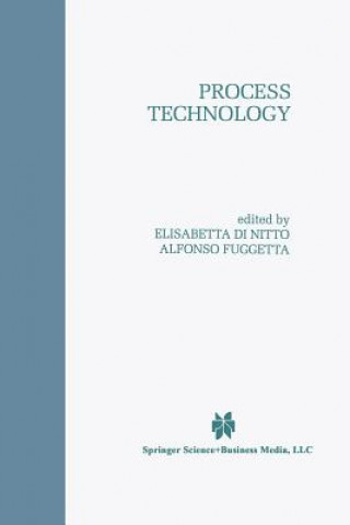 Livre Process Technology Elisabetta Di Nitto