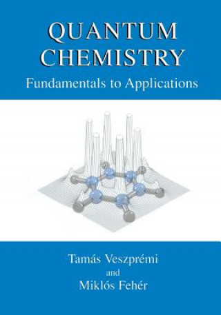 Könyv Quantum Chemistry Miklos Feher
