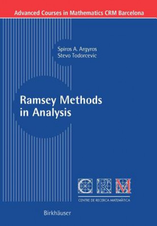 Kniha Ramsey Methods in Analysis Stevo Todorcevic