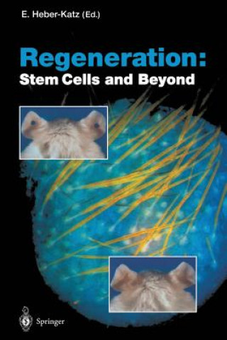 Libro Regeneration: Stem Cells and Beyond Ellen Heber-Katz