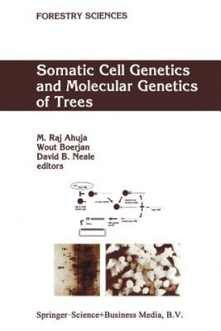 Buch Somatic Cell Genetics and Molecular Genetics of Trees M. R. Ahuja