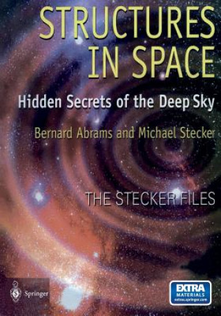 Buch Structures in Space Michael Stecker