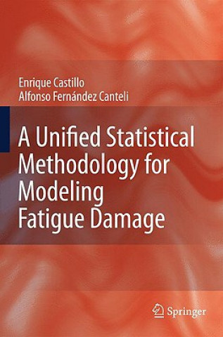 Könyv Unified Statistical Methodology for Modeling Fatigue Damage Alfonso Fernandez-Canteli
