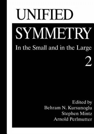 Kniha Unified Symmetry Behram N. Kursunogammalu