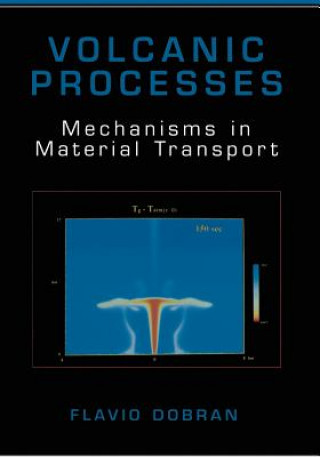 Buch Volcanic Processes Flavio Dobran