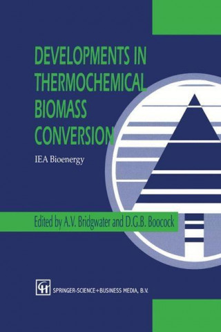 Kniha Developments in Thermochemical Biomass Conversion D. G. B. Boocock