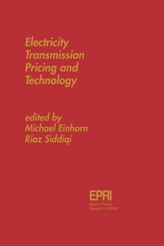 Kniha Electricity Transmission Pricing and Technology A. Gramsbergen