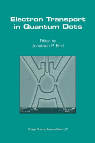 Kniha Electron Transport in Quantum Dots Jonathan P. Bird