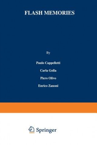 Carte Flash Memories Paulo Cappelletti