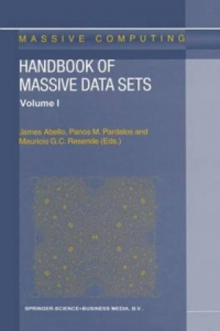 Kniha Handbook of Massive Data Sets James Abello