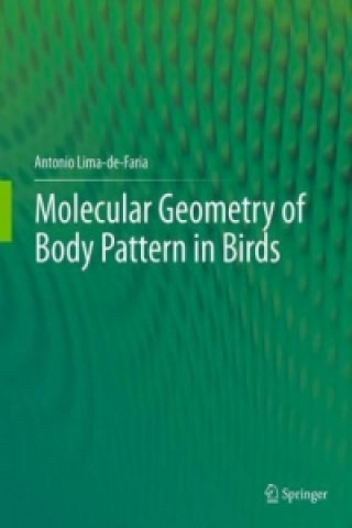 Книга Molecular Geometry of Body Pattern in Birds Antonio Lima-de-Faria