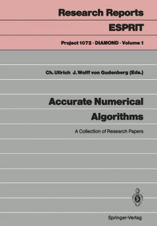 Kniha Accurate Numerical Algorithms Jurgen Wolff Von Gudenberg