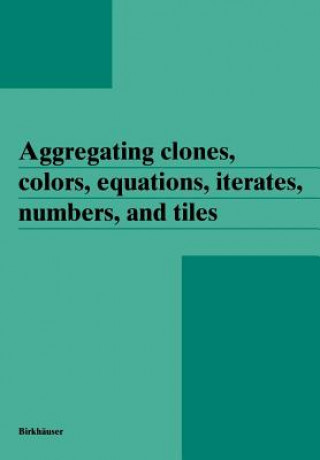 Книга Aggregating clones, colors, equations, iterates, numbers, and tiles Janos Aczel