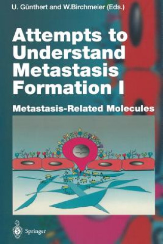 Livre Attempts to Understand Metastasis Formation I Walter Birchmeier