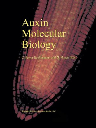 Kniha Auxin Molecular Biology Gretchen Hagen
