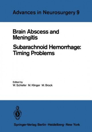Kniha Brain Abscess and Meningitis Mario Brock