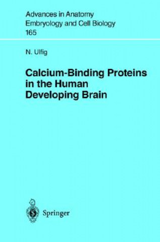 Βιβλίο Calcium-Binding Proteins in the Human Developing Brain Norbert Ulfig