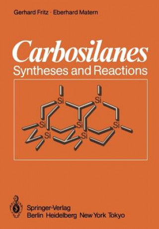 Könyv Carbosilanes Eberhard Matern