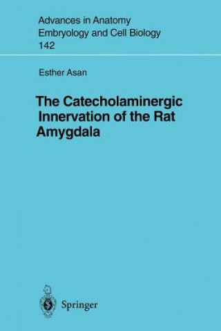 Kniha Catecholaminergic Innervation of the Rat Amygdala E Asan