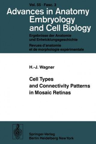 Kniha Cell Types and Connectivity Patterns in Mosaic Retinas Hans-Joachim Wagner