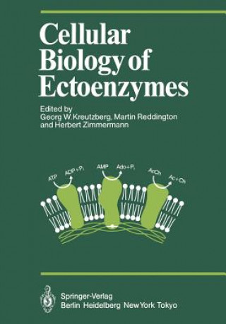 Książka Cellular Biology of Ectoenzymes Georg W. Kreutzberg