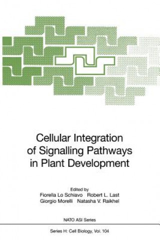 Könyv Cellular Integration of Signalling Pathways in Plant Development Robert L. Last