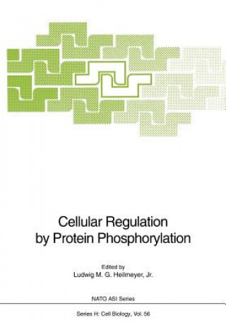 Könyv Cellular Regulation by Protein Phosphorylation L. M. G. Jr. Heilmeyer