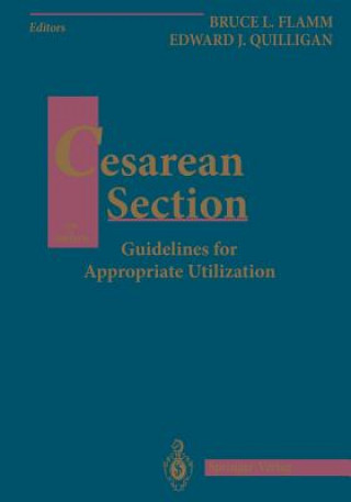 Knjiga Cesarean Section Bruce L. Flamm