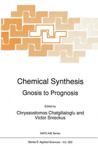 Książka Chemical Synthesis C. Chatgilialoglu