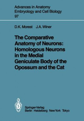 Carte Comparative Anatomy of Neurons: Homologous Neurons in the Medial Geniculate Body of the Opossum and the Cat Jeffery A. Winer