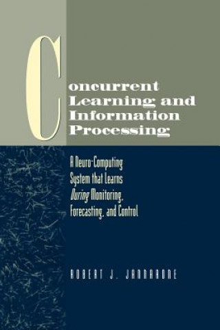 Книга Concurrent Learning and Information Processing Robert J. Jannarone