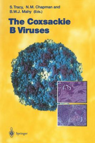 Könyv Coxsackie B Viruses Nora M. Chapman