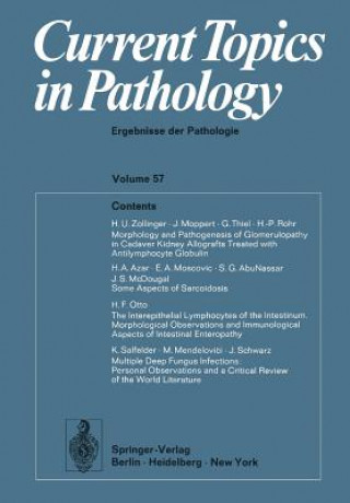 Buch Current Topics in Pathology / Ergebnisse der Pathologie Ekkehard Grundmann