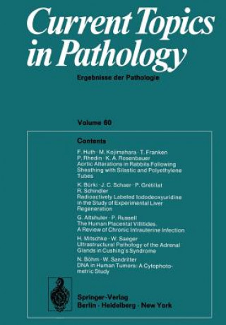 Kniha Current Topics in Pathology / Ergebnisse der Pathologie W. H. Kirsten