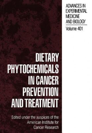 Książka Dietary Phytochemicals in Cancer Prevention and Treatment American Institute For Cancer Research