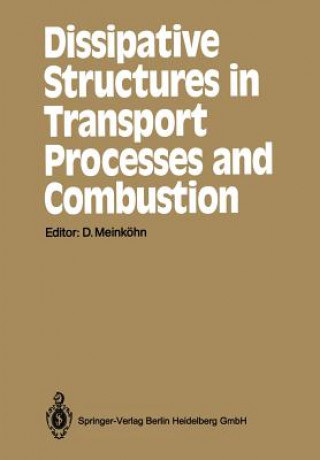 Kniha Dissipative Structures in Transport Processes and Combustion Dirk Meinköhn