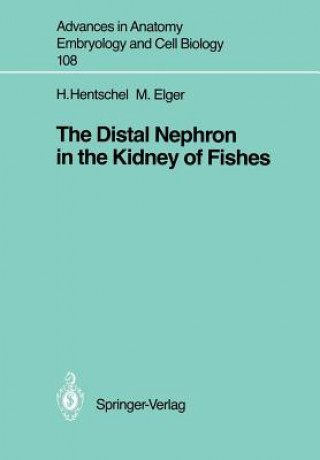 Könyv Distal Nephron in the Kidney of Fishes Marlies Elger