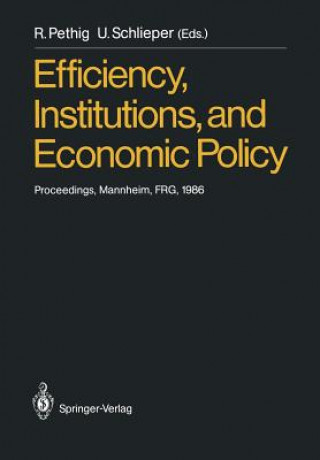 Könyv Efficiency, Institutions, and Economic Policy Rüdiger Pethig