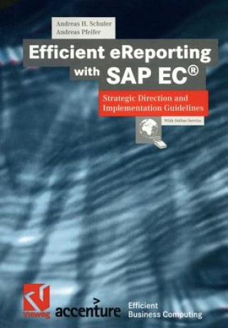 Kniha Efficient eReporting with SAP EC Andreas Pfeifer