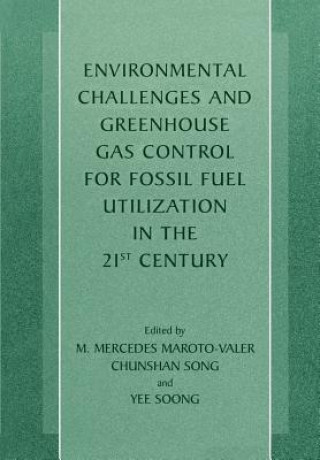 Kniha Environmental Challenges and Greenhouse Gas Control for Fossil Fuel Utilization in the 21st Century Chunshan Song