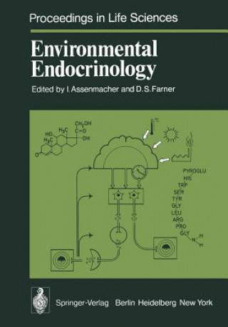 Kniha Environmental Endocrinology I. Assenmacher