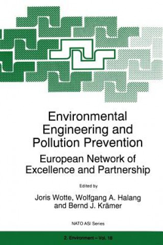 Buch Environmental Engineering and Pollution Prevention Bernd Krämer