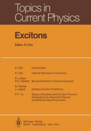 Książka Excitons K. Cho