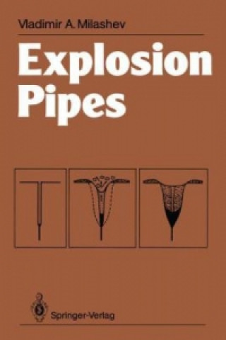 Książka Explosion Pipes Vladimir A. Milashev