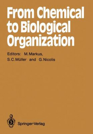 Книга From Chemical to Biological Organization Mario Markus