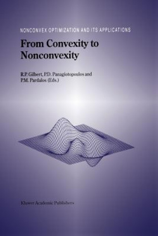 Könyv From Convexity to Nonconvexity R. P. Gilbert