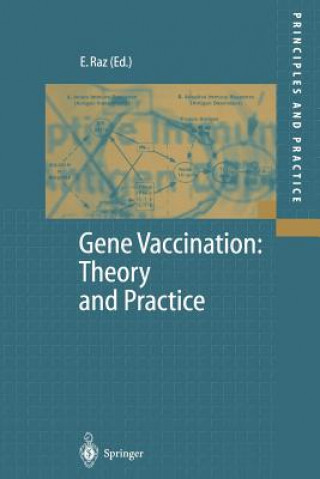 Kniha Gene Vaccination: Theory and Practice Eyal Raz