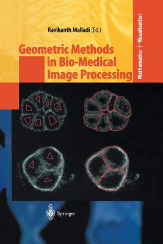 Könyv Geometric Methods in Bio-Medical Image Processing Ravikanth Malladi