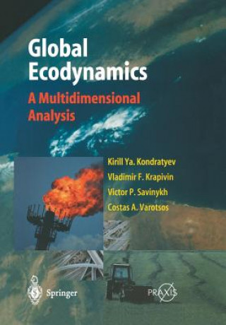 Buch Global Ecodynamics Costas A. Varotsos